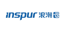 inspur