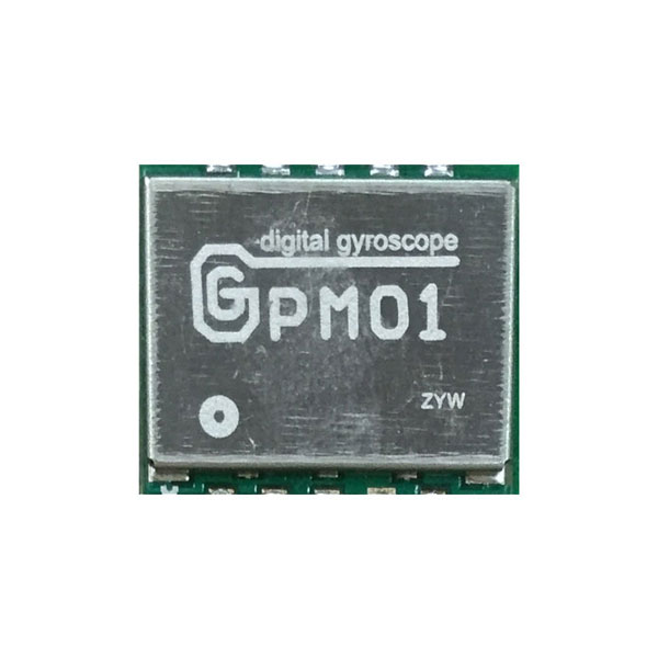 GGPM01
